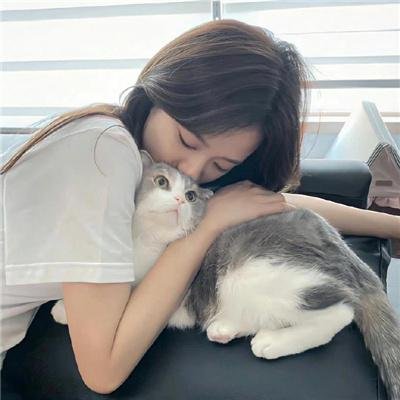 完美物质
